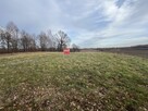 Działka 8713 m2 (piękny widok) w Kazimierzy Dolnym - 7
