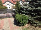 Wynajmę segment