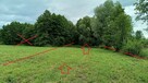 Łąka Kosiory 0,77 ha - częściowo zadrzewiona i z moczarami - 3