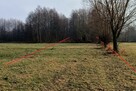 Łąka Kosiory 0,77 ha - częściowo zadrzewiona i z moczarami - 9