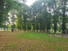 Zrewitalizowana kamienica; możliwe 4 pokoje - 6
