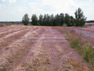 Działka budowlana Jastków, Jastków, Snopków - 6