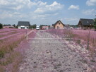 Działka budowlana Jastków, Jastków, Snopków - 7