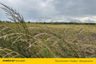 Działki z pozwoleniem na budowę  Kluki, 3362 m² - 2