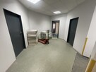 Showroom,biuro,usługi,windy,dostęp24,metro - 14