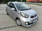 Kia picanto - 6