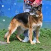 Dora - 7