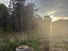 Działka z domem letnim i dużą działką leśną - 9