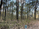 Działka budowlana Otwock, Majowa - 2