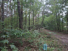 Działka budowlana Otwock, Majowa - 7