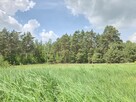 Działka budowlana 3000m2 | Bieńki Śmietanki - 2
