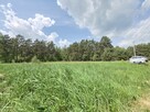 Działka budowlana 3000m2 | Bieńki Śmietanki - 4