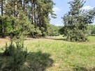 Działka budowlana 3000m2 | Bieńki Śmietanki - 8