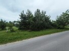 Na sprzedaż działka budowlana - Żdżary (Czarna) - 2