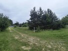 Na sprzedaż działka budowlana - Żdżary (Czarna) - 3