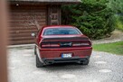 Dodge Challenger R/T / 5.7 V8 HEMI 375KM / Limited Edition / Bezwypadkowy / Import USA - 15