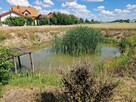 Dom Przedecz, Zbijewo Kolonia - 11