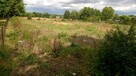 Działka pod budowe - 3