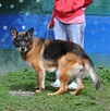 Dora - 8