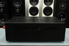 Audio Note P2SE lampowa końcówka mocy Class A - 5