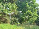 Działka z linią brzegową i WZ! - 4