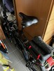 Rower - 4