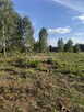 Działka 7 934 m2, Plichta, gm. Łukta - 4