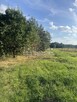 Działka 7 934 m2, Plichta, gm. Łukta - 6