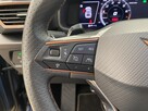 Cupra Formentor 2.0 TSI 4Drive DSG - 14