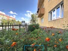 Mieszkanie  w centrum Torunia - 55 m2 - 2 pokoje