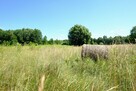 Działka rolna Kampinos, - 6