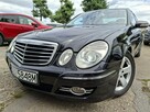Mercedes E 220 Klimatronic 2-stref, Automat, Ele szyby 4x, Xenon, PDC 2x - 3