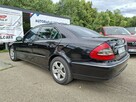 Mercedes E 220 Klimatronic 2-stref, Automat, Ele szyby 4x, Xenon, PDC 2x - 9
