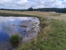 Mazury Puszcza Borecka Działka Rolna 12,4469 ha - 4