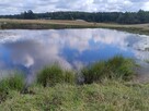 Mazury Puszcza Borecka Działka Rolna 12,4469 ha - 6