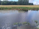 Mazury Puszcza Borecka Działka Rolna 12,4469 ha - 10
