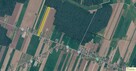 Działka rolno-budowlana Anonin gm. Stanin - 3