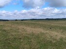 Mazury Puszcza Borecka Działka Rolna 12,4469 ha - 11