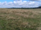 Mazury Puszcza Borecka Działka Rolna 12,4469 ha - 13