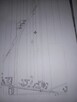 Gospodarstwo rolne w Lututowie 3,75 ha z domem - 6