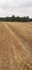 Działka 1,67 ha rolno-inwestycyjna w Lututowie - 4