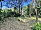 Działka budowlana Nowogród Bobrzański, Winiary - 11