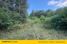 Działka budowlana w lesie k/Skierniewic - 4