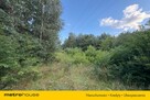 Działka budowlana w lesie k/Skierniewic - 5