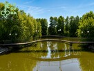 Lokal użytkowy Holendry Dobrowskie gm. Szczawin Kościelny, Leśna Droga - 14
