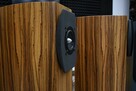 Audium Comp 5.2 Passive – kolumny Zebrano, para - 8