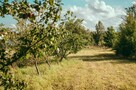 DOM + BUDYNEK USŁUGOWO-MAGAZYNOWY | DZIAŁKA 4335 m² | OSIPY- - 7