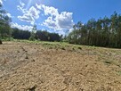 Działki 20ar, 33ar z wydanymi WZ - Dąbrówka gm. Ulanów - 4
