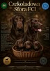 Labrador Retriever czekoladowa suczka Zkwp/FCI - 5