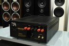 Audio Note P2SE lampowa końcówka mocy Class A - 7